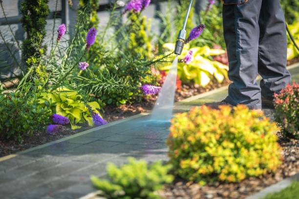 Reliable Apalachin, NY Pressure Washing Services Solutions