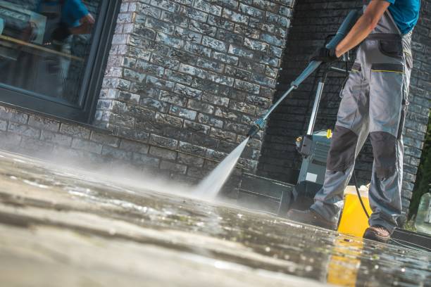 Best Roof Washing  in Apalachin, NY