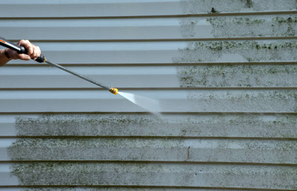 Best Roof Washing  in Apalachin, NY