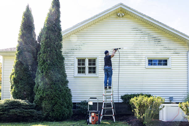 Best Spring Cleaning  in Apalachin, NY
